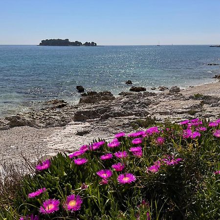 Villa Anthony Rovinj Exterior foto