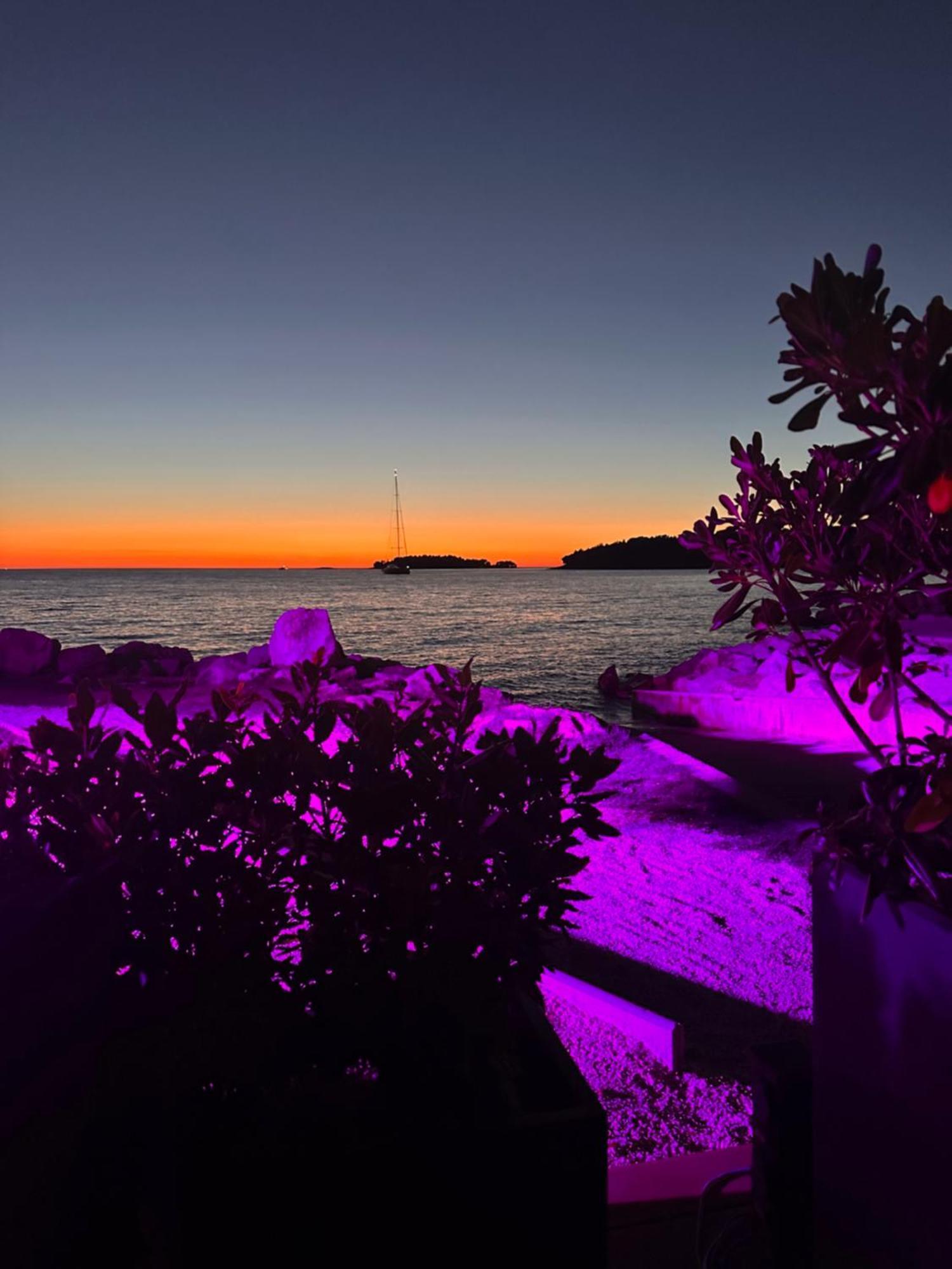 Villa Anthony Rovinj Exterior foto